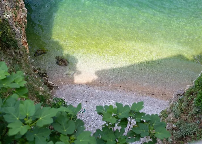 Dume 公寓 瓦比尼科